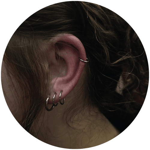 Ear with lobe and cartilage piercings